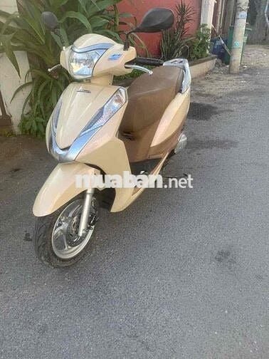 Honda Lead màu Vàng kem