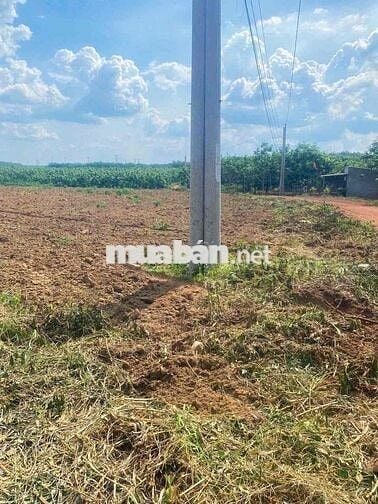 Đất Vườn Xã Phước Thành ,TP HCM 1174m2 giá chỉ 800tr