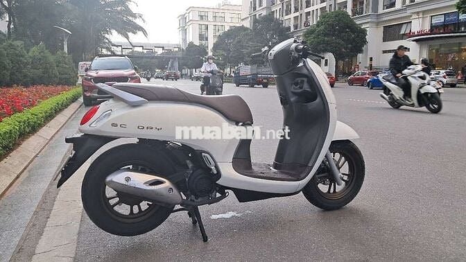 Honda Scoopy Trắng