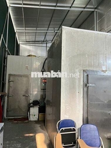 Kho lạnh cho thuê chỉ cần vào làm