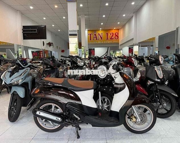 ZIN CỌP - Mio Classico - Zin Nguyên Con Cực Êm Đep