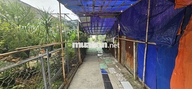 CHO THUÊ MẶT BẰNG MẶT TIỀN NGUYỄN VĂN TẠO – GẦN KCN HIỆP PHƯỚC