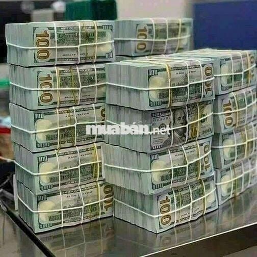 Cho thuê nhà đường 65 dt 12x20m