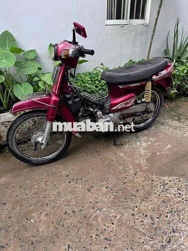 Citi 1998 bstp giấy đủ đi làm chở hàng bao chất