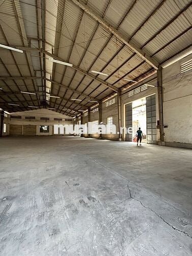 Cho Thuê Kho Mặt Tiền Quốc Lộ 1A 856m2 – Gần Vòng Xoay An Lạc