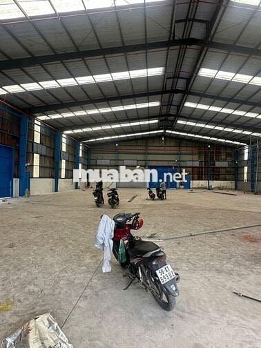 CHO THUÊ KHO XƯỞNG 1000M2 ĐỨC HÒA – GIÁ TỐT, VỊ TRÍ ĐẸP