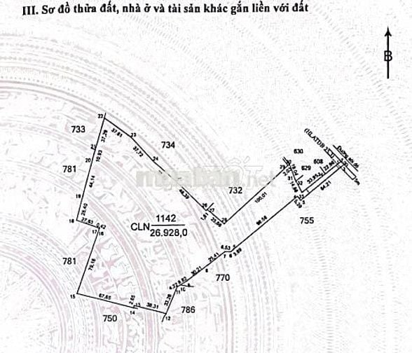 📢 BÁN ĐẤT LÂU NĂM TẠI AN LẬP – DẦU TIẾNG – BÌNH DƯƠNG