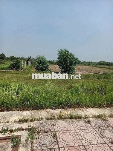 Đất MT Đức Hoà Đông , Đức Hoà , 5x17 85m2 Giá 890 triệu