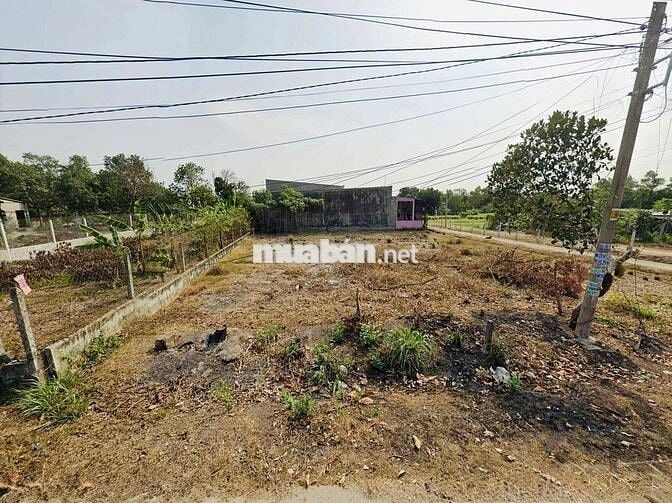 CẦN BÁN LÔ GÓC 2 MẶT TIỀN 820TR 343M2 TÂN THÔNG HỘI, CỦ CHI