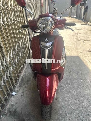 xe chính hãng - đẹp long lanh