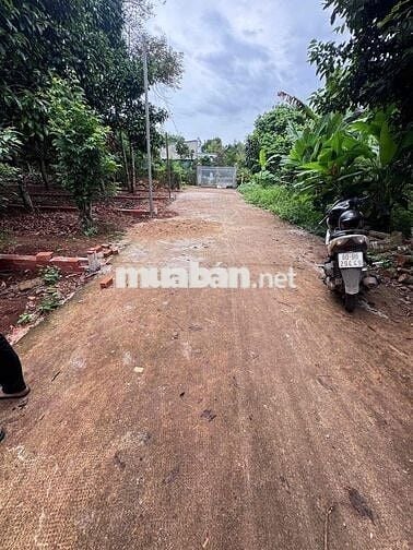 đất nền thổ cư sổ riêng hẻm xe hơi vào tới đất sat trục đường Lê A