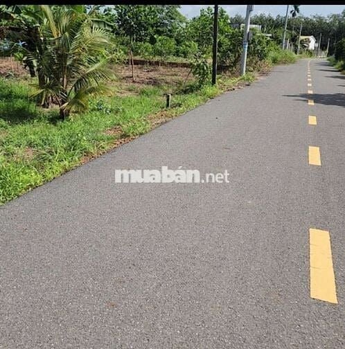 Chủ ngộp cần bán gấp lô đất trong tuần giá tốt