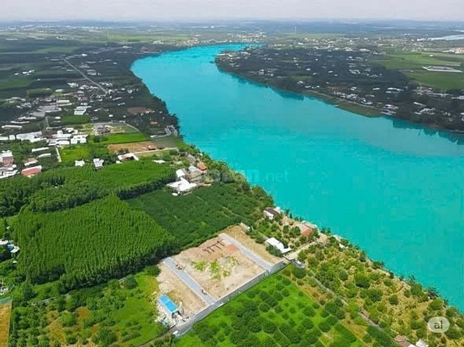 bán lô đất rẻ nhất phường Tân Triều, cách cầu Bạch Đằng 1km, giá chỉ h