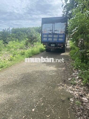 đất nền thổ cư sổ riêng hẻm xe hơi khu dân cư đông đúc