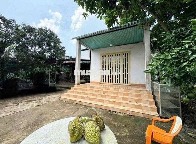 cần bán đất vườn 1000m2 sẵn 100m thổ cư