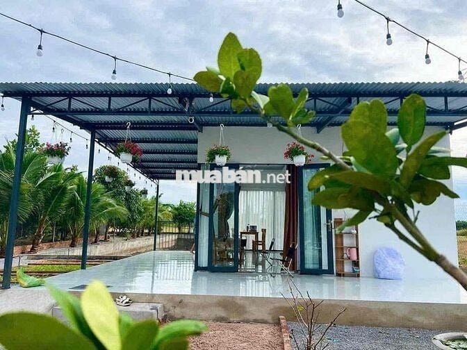 📣 CHÍNH CHỦ CẦN BÁN "RESORT TẠI GIA" - VIEW ĐỒNG QUÊ CỰC ĐẸP!