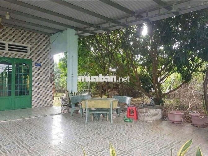 Chủ cần bán gấp căn nhà vườn 3000m² giá như cho 390tr