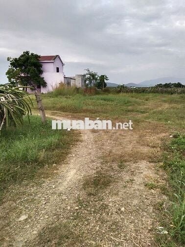 CHÍNH CHỦ BÁN ĐẤT HÀM THUẬN NAM BÌNH THUẬN