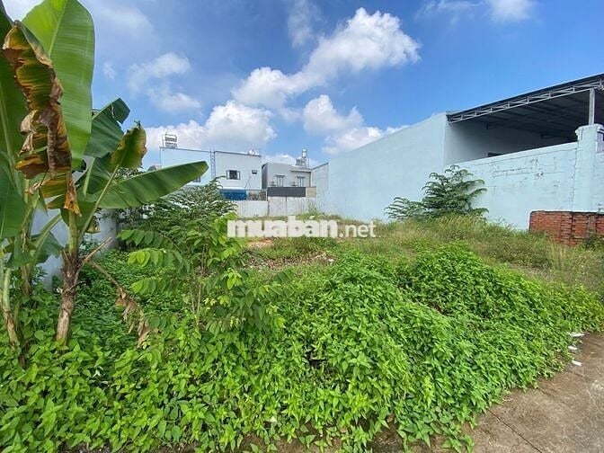 CHÍNH CHỦ GỬI BÁN GẤP 400tr/273m2 MT SUỐI LỘI CỦ CHI , FULL THỔ , SHR