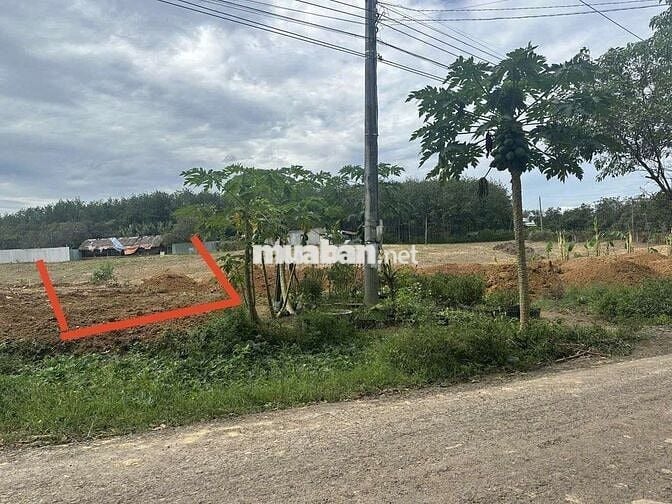 Bán gấp nền đất thổ cư  . Diện tích 346m2 .  Mặt tiền đường nhựa