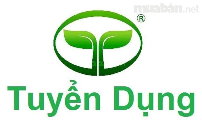 Cần thêm nhân viên phụ dịp Tết