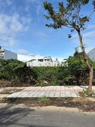 Còn *** 1 lô Hói Kiểng 19 giá 5060 tr