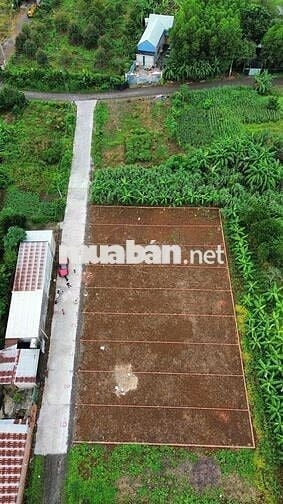 BÁN ĐẤT SÔNG TRẦU 19 GẦN NHÀ THỜ GIA TÔN CHỢ SỐ 9