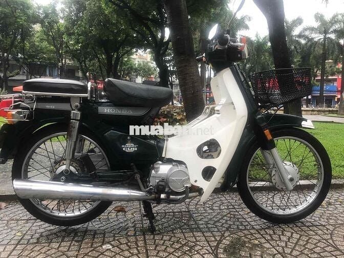 Cup 50 cc Korea 43 Đà Nẵng