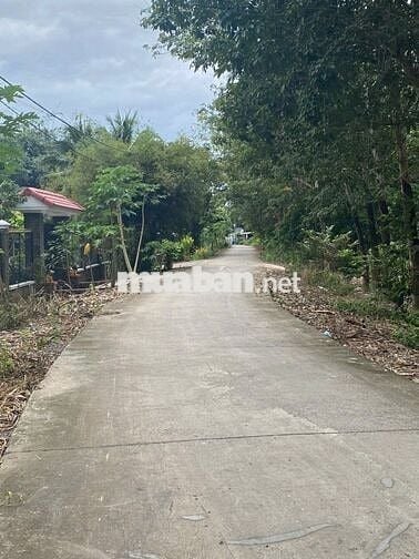 Chính chủ bán nhà và đất, sổ riêng, có thổ cư, Nhuận Đức ,Củ chi