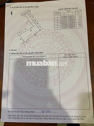 Đất Thổ Cư 100% Phường Tân Hạnh, TP Biên Hòa, Đồng Nai - Giá Siêu Rẻ