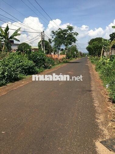 BÁN ĐẤT CỰC ĐẸP ĐƯỜNG NHỰA THỔ CƯ PHƯỜNG KHÁNH XUÂN
