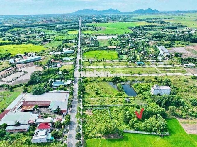 MẶT TIỀN TỈNH LỘ 52 - XÃ ĐẤT ĐỎ - GẦN COFFEE GLAMPING BÒN BON