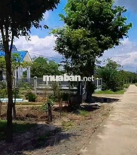 Đất Vườn - Nhánh QL 13 ,ngay 2kcn Minh Hưng