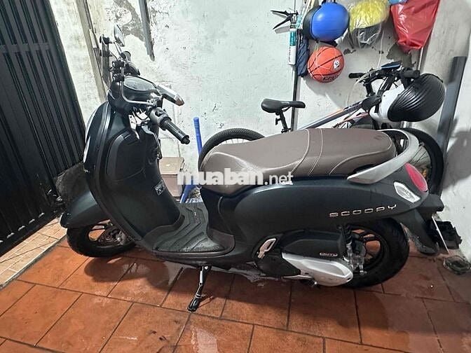 Honda Scoopy