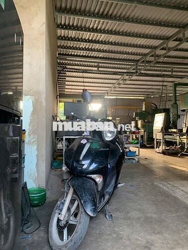 Yamaha Janus 2017-2018 Đen