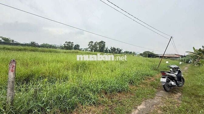 BÁN ĐẤT SỔ ĐỎ RIÊNG. 670M. THÍCH HỢP LÀM VƯỜN, NGHĨ DƯỠNG, TRỒNG RAU .