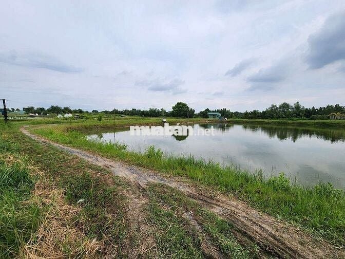 Chủ cần tiền bán nhanh đất lúa, gần đường Cầu Bà Kiểu