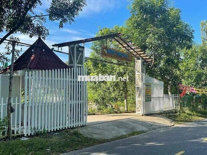 TÔI CẦN BÁN ĐẤT LÀM TRANG TRẠI MINI