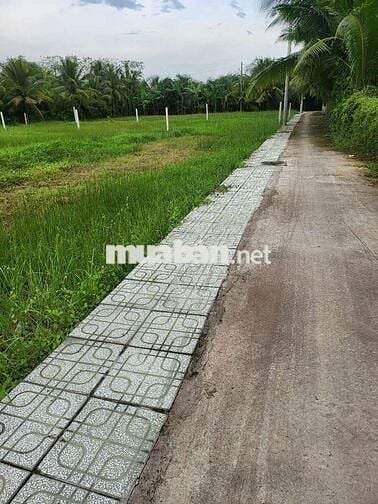 Đất đối diện bệnh viện 100m2 đất nhà cắt ra bán.