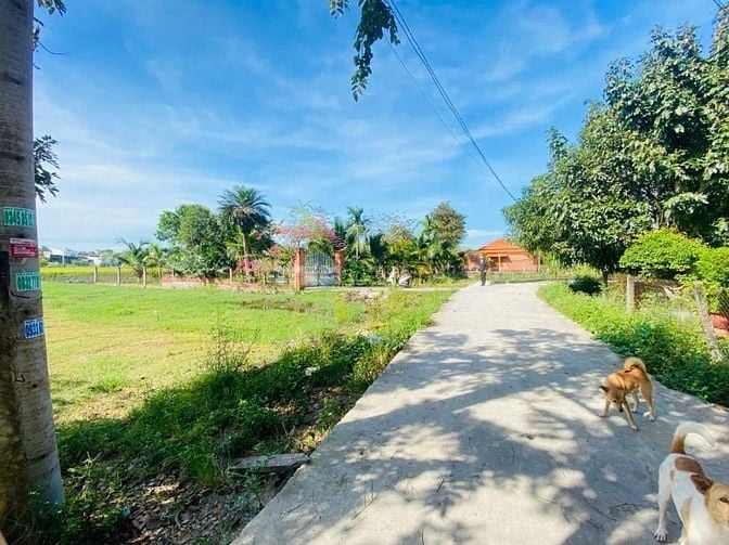 14,8x39(640m2) 120m2 TC Hẻm Tôn Đức Thắng Tân Phước LaGi Gần Biển