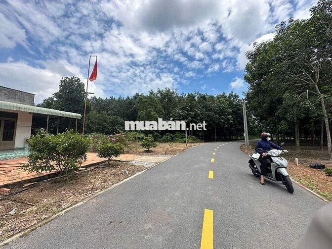 Sang nhanh lô đất mt nhựa ngay ubnd Phước Thành TPHCM giá rẻ