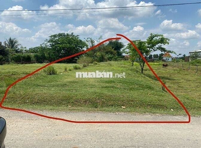 ĐÂT FULL THỔ 552M2 MT NGUYỄN VĂN DƯƠNG, TT ĐỨC HÒA