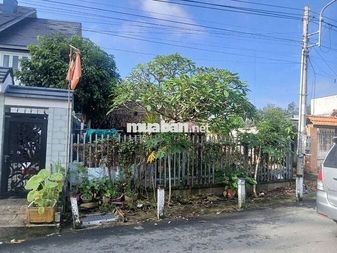 ĐẤT THỔ CƯ – 125m2 – AN ĐIỀN – BẾN CÁT – GIÁ 750 TRIỆU