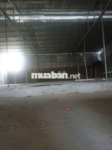 Kho thuê 240. Đường 20 Ấp 5 xã Vĩnh Lộc B bình chánh tphcm.