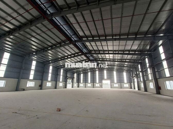 Cho thuê 5 kho xưởng KCN Vĩnh Lộc 2, Bến Lức , Long An , PCCC tự động