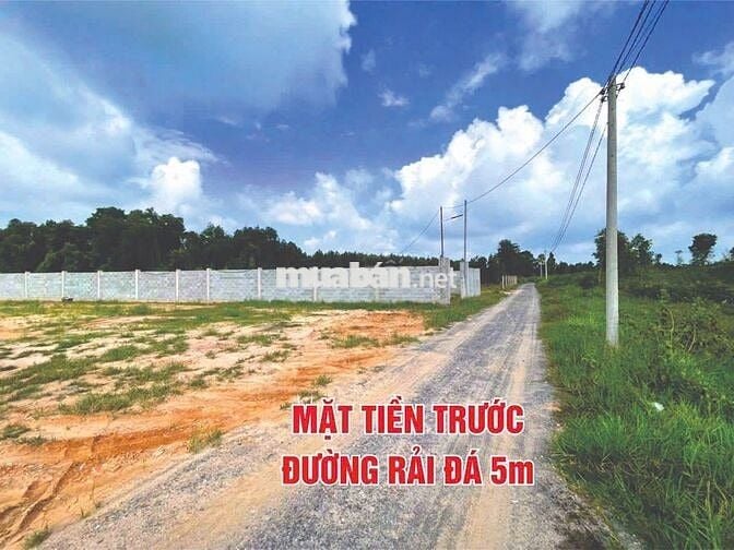 Đất vườn 2000m² có 160m² thổ cư, Phường Tân An, Bình Dương