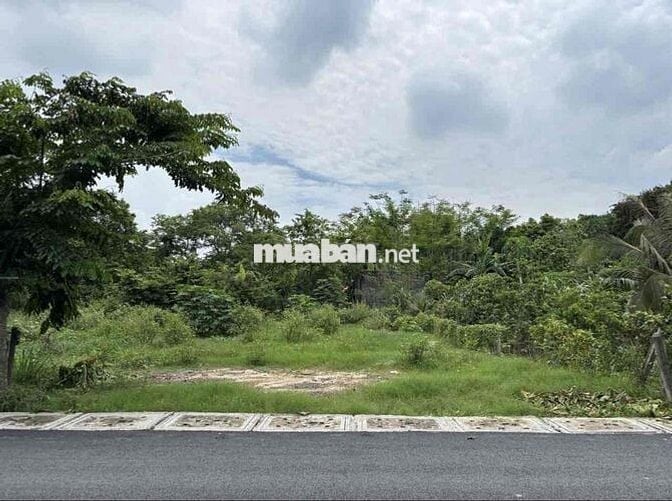 CẦN BÁN GẤP NGUYỄN VĂN NI 224M2 FULL THỔ. ĐẤT ĐẸP, SỔ SẴN CHỜ CHỦ MỚI