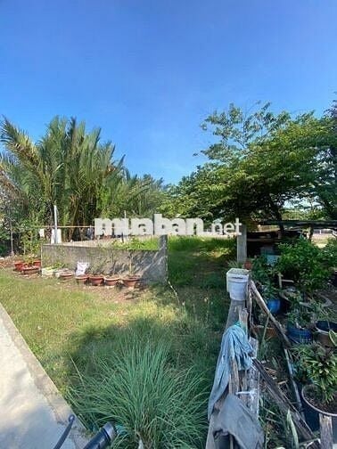 BÁN ĐẤT THỔ- 2 MẶT TIỀN- NGANG 8M- HXH 6M- LÊ VĂN LƯƠNG- GIÁ HƠN 6 TỶ