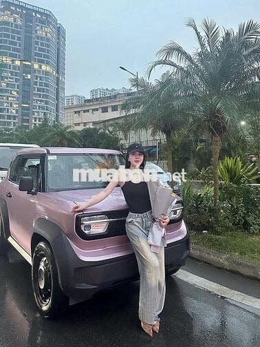 VinFast VF3 2025  - 1233 km