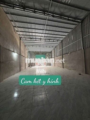 Kho thuê 8×30 Đường 20 Ấp 5 vĩnh lộc B bình chánh tphcm.